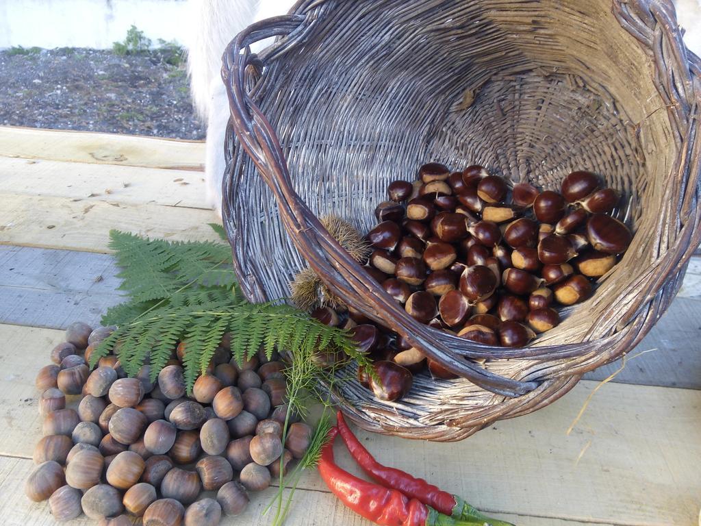 ニコロージ Il Giardino Di Leoca Bed & Breakfast 部屋 写真